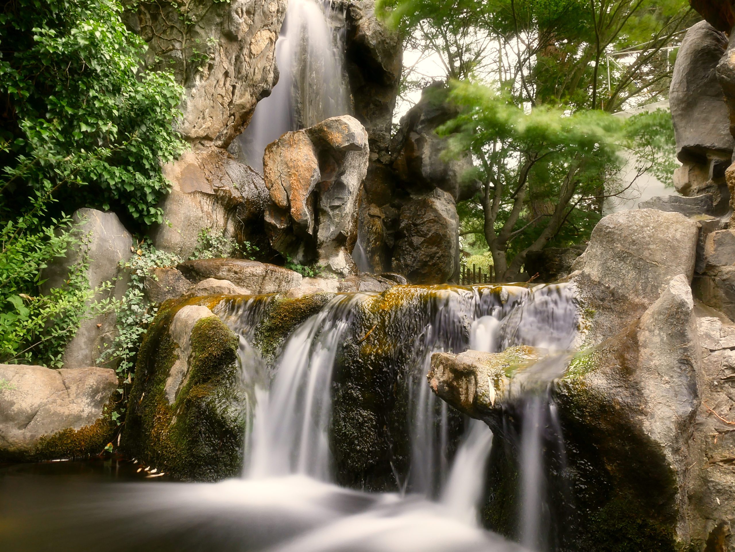 Fotosafari-Chinagarten in den Gärten der Welt in Berlin